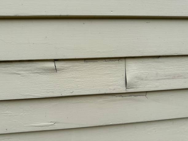 Affordable siding repair and maintenance services in Wildwood, NJ